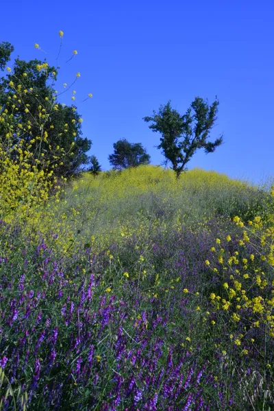 DSC_6143 (Large).JPG